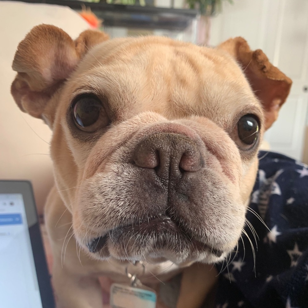 Meet your Posher, Mira